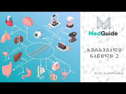 Medguide/მედგიდი - ანატომია: ხერხემალი (ნაწილი 2)